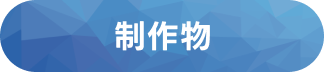 制作物